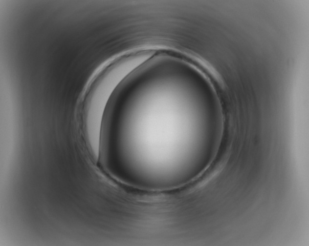 X0000114680926200910211207