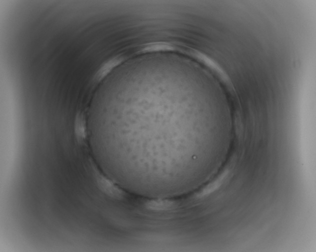X0000114680929200910211207