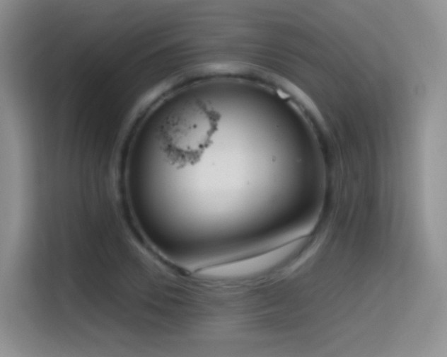 X0000114680930200910211207
