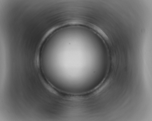 X0000114680934200910211207