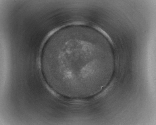 X0000114680935200910211207