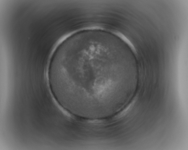 X0000114680943200910211207