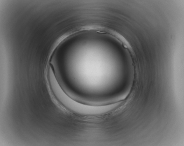 X0000114680946200910211207