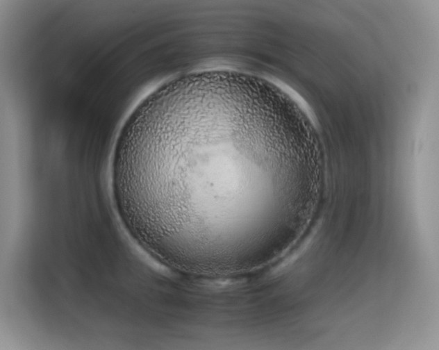 X0000114680949200910211207