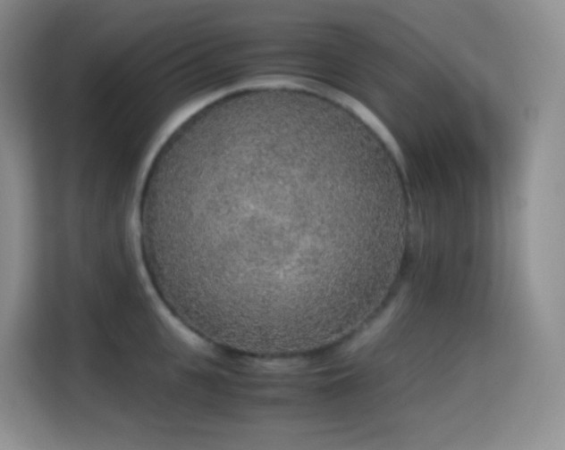 X0000114680951200910211207