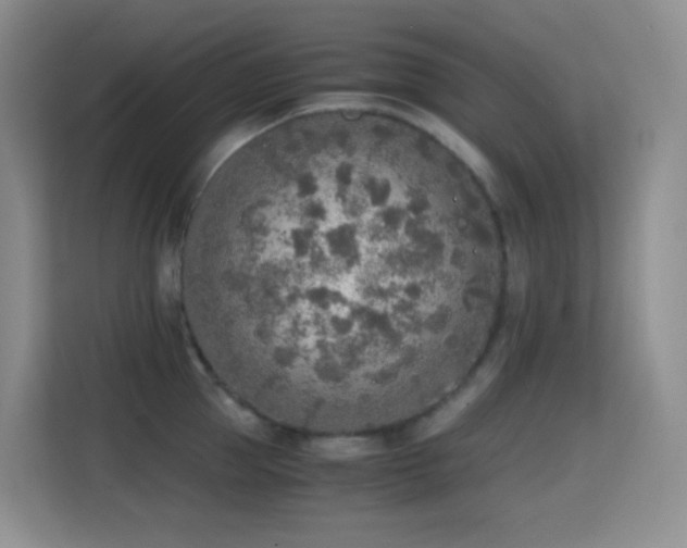X0000114680953200910211207