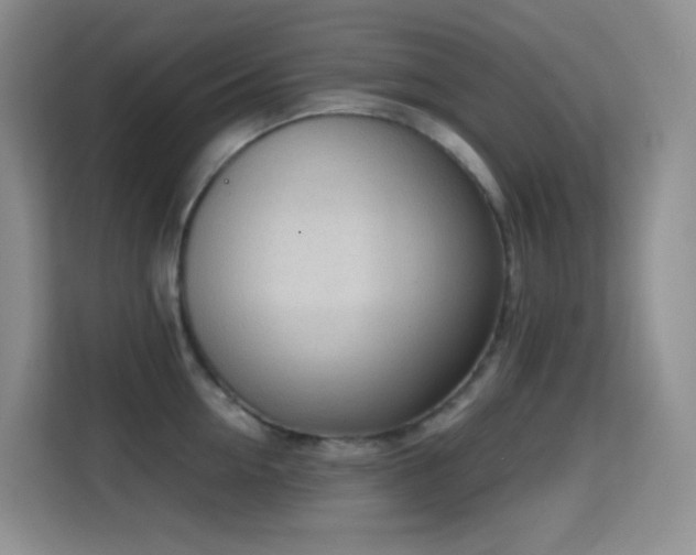 X0000114680954200910211207