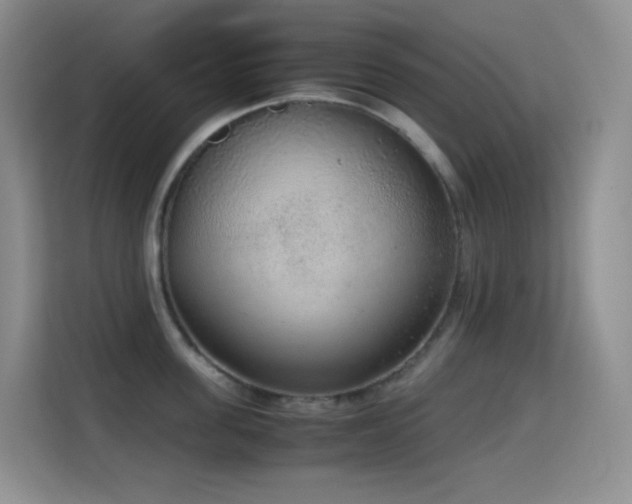 X0000114680955200910211207