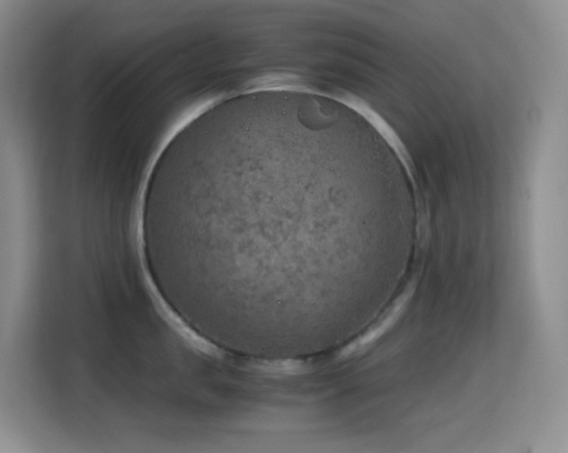 X0000114680957200910211208