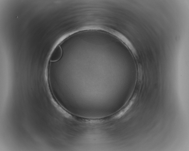 X0000114680958200910211208