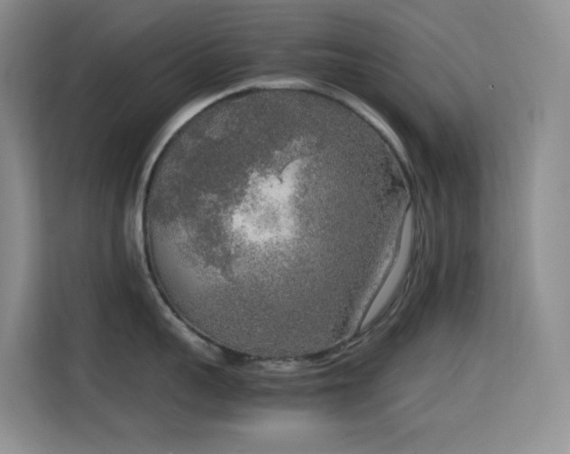 X0000114680959200910211208