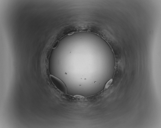 X0000114680961200910211207