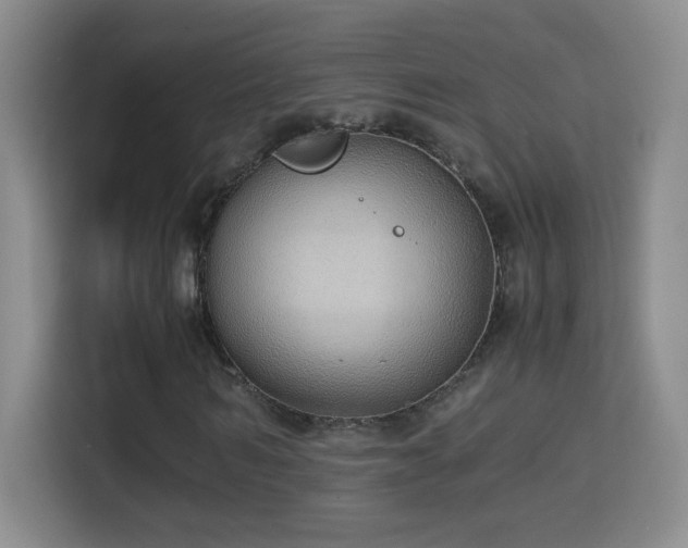 X0000114680962200910211207
