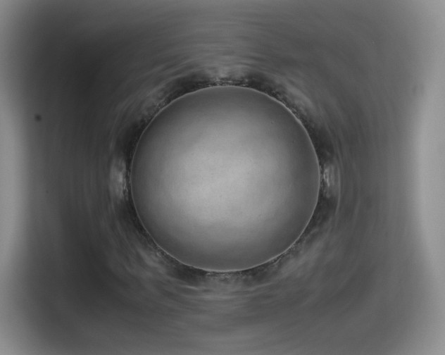 X0000114680963200910211207