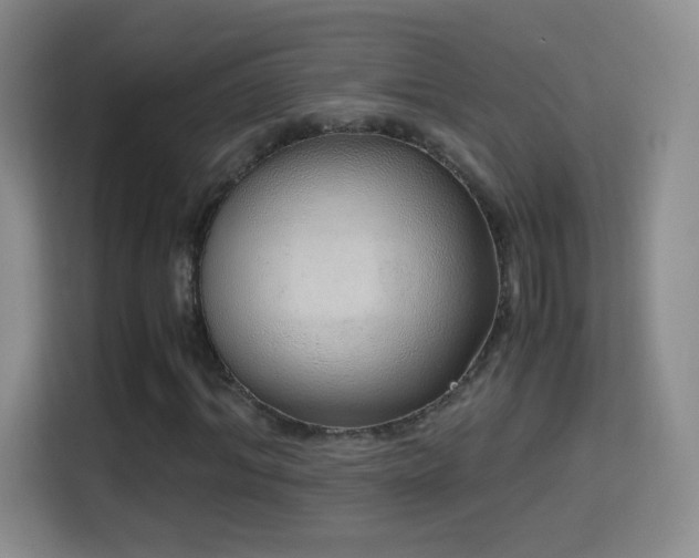 X0000114680964200910211207
