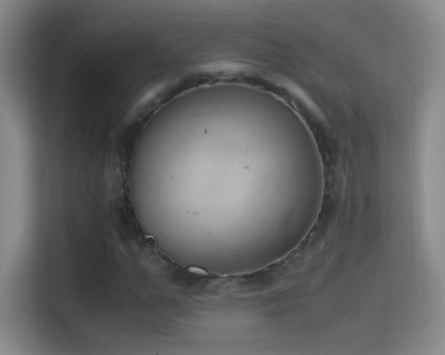 X0000114680967200910211207