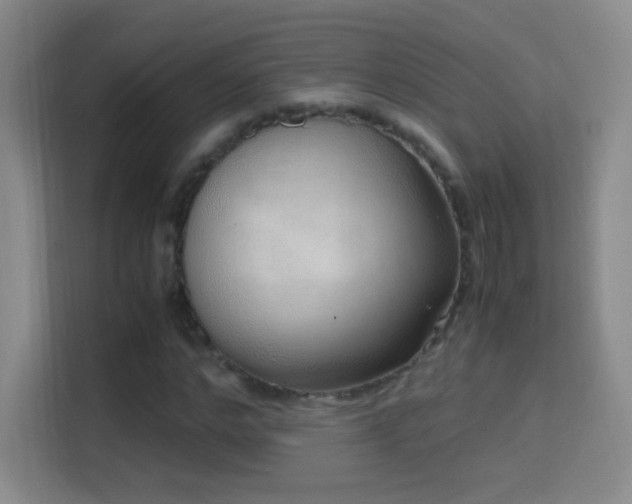 X0000114680968200910211207