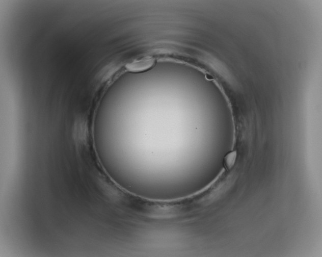 X0000114680969200910211207