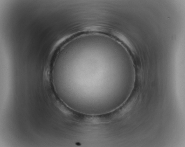 X0000114680971200910211207