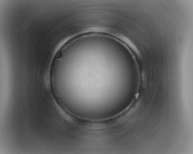 X0000114680972200910211207