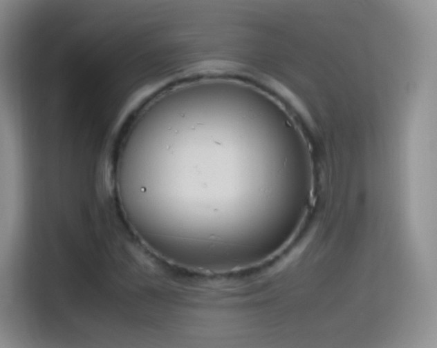 X0000114680973200910211207