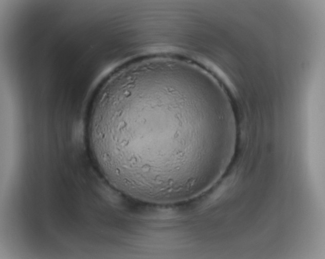 X0000114680975200910211207
