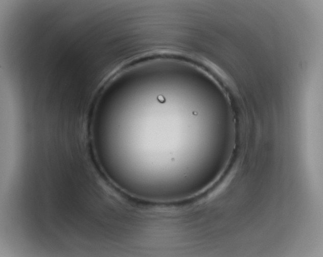 X0000114680977200910211207