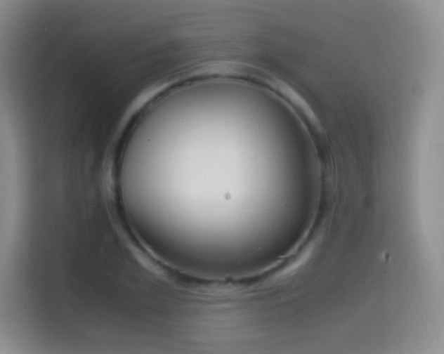 X0000114680981200910211207