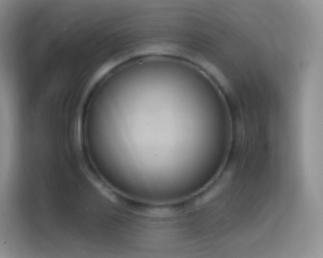 X0000114680982200910211207
