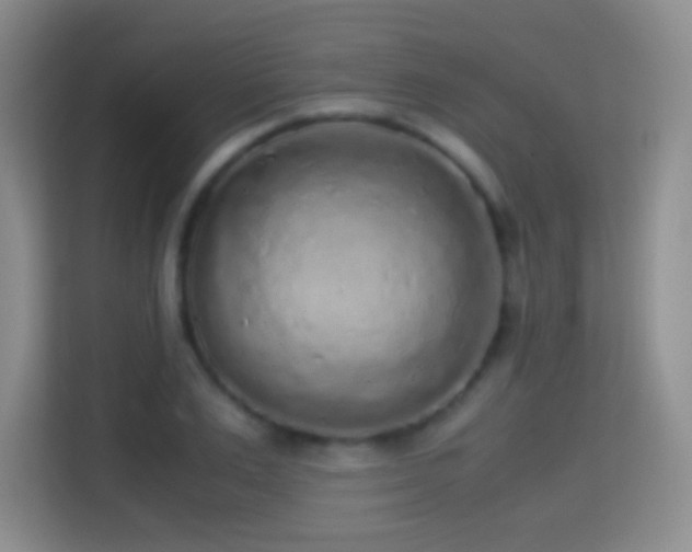 X0000114680983200910211207