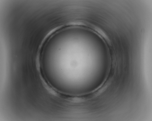 X0000114680984200910211207