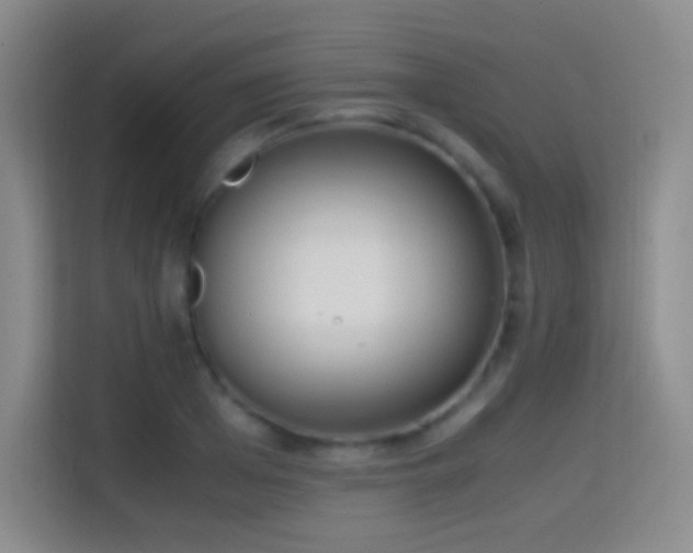 X0000114680985200910211207