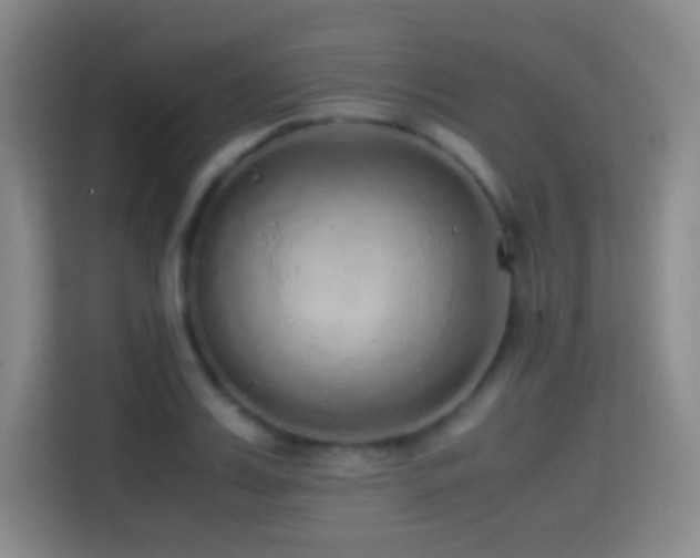X0000114680987200910211207