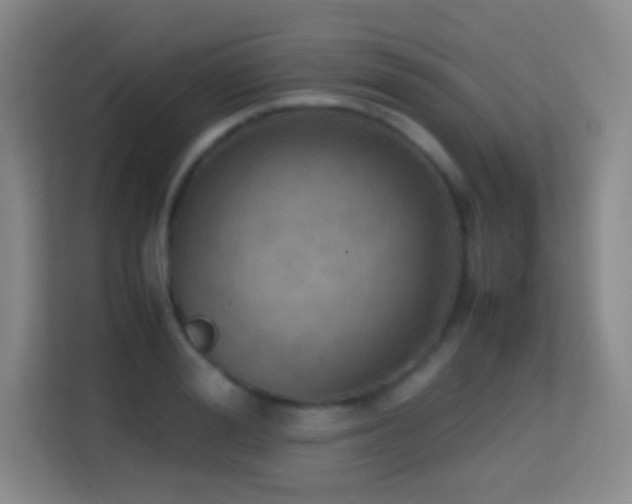 X0000114680988200910211207