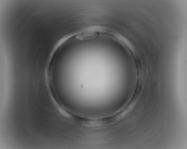 X0000114680989200910211207