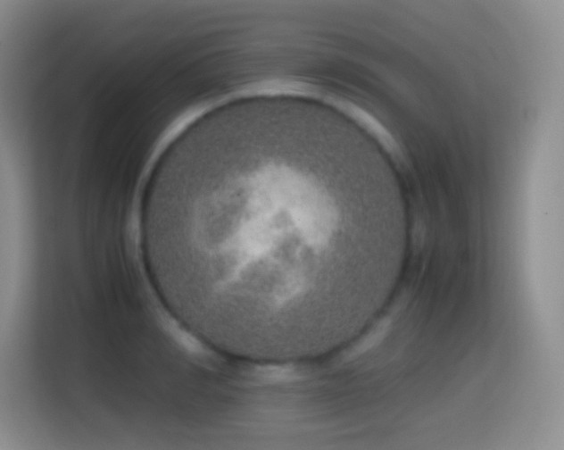 X0000114680990200910211207