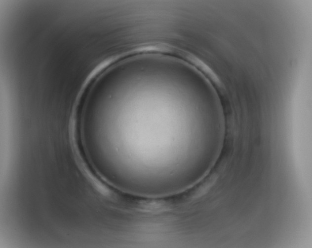 X0000114680991200910211207