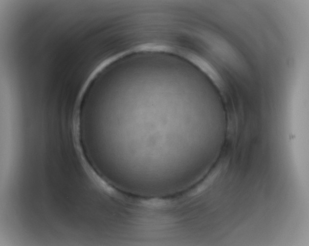 X0000114680992200910211207