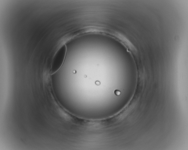 X0000114680993200910211207