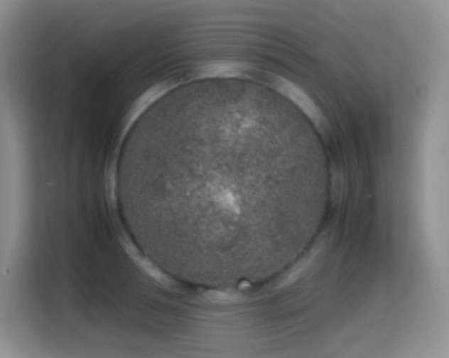 X0000114680994200910211207