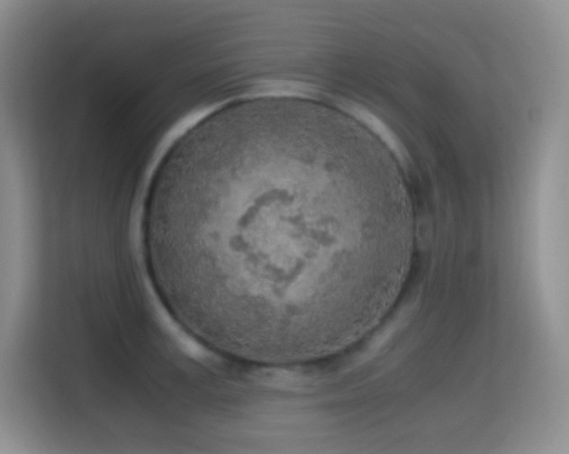 X0000114680995200910211206