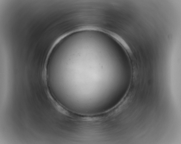 X0000114680996200910211206