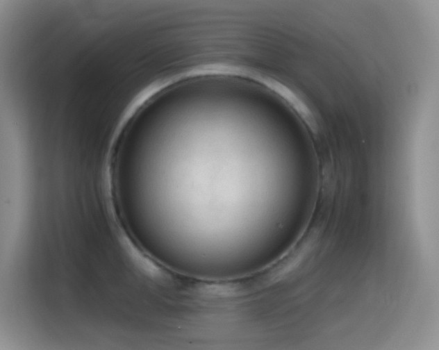 X0000114680998200910211206