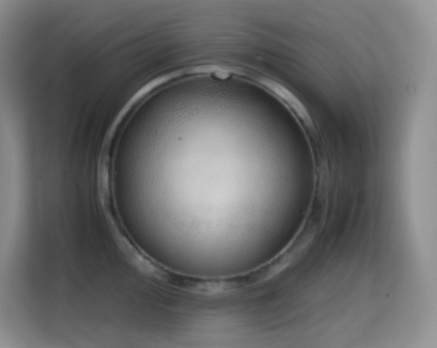 X0000114681000200910211206