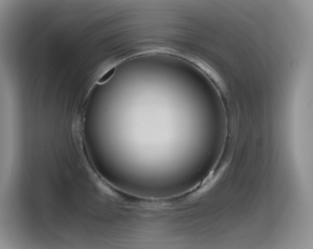 X0000114681001200910211206