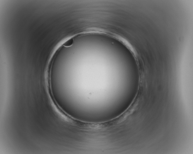 X0000114681003200910211206