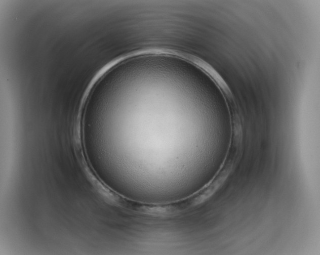 X0000114681004200910211206