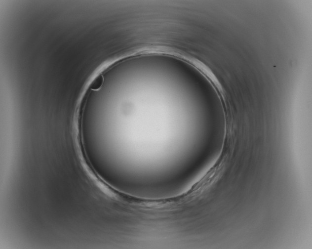 X0000114681005200910211206