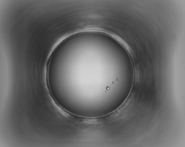 X0000114681006200910211206