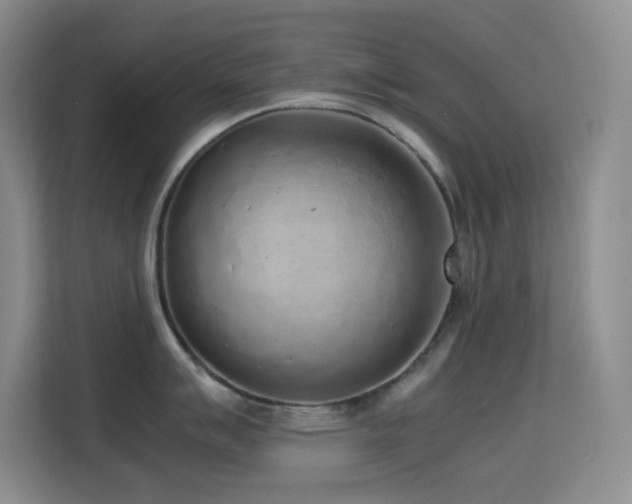 X0000114681007200910211206